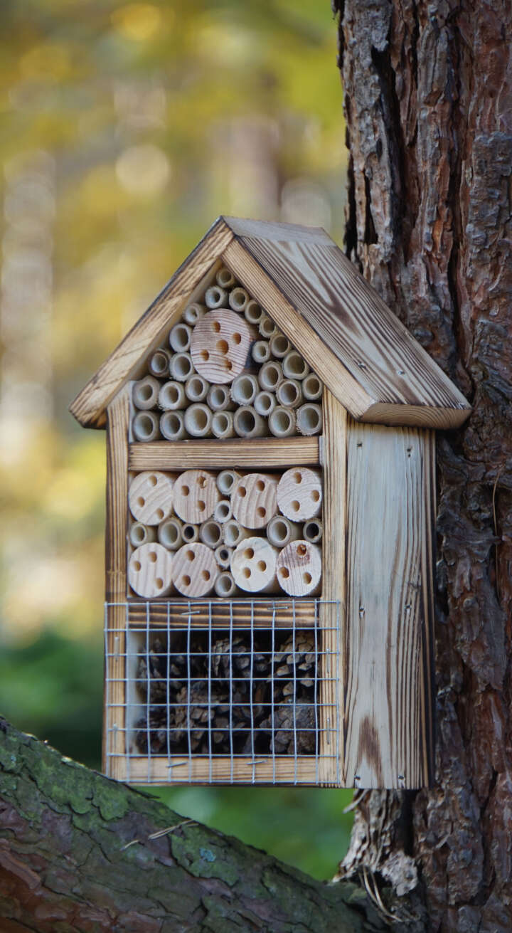 Insektenhotel mit geflämmtem  Holz